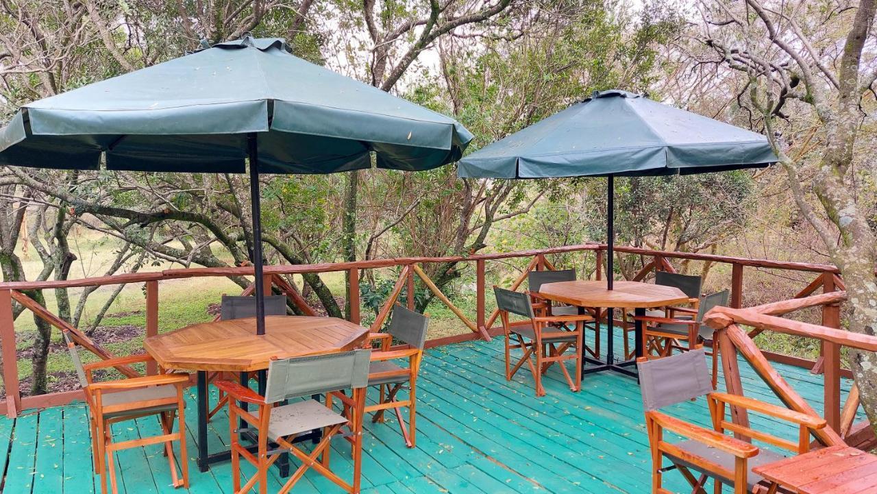 Greenwood Safari Camp تاليك المظهر الخارجي الصورة