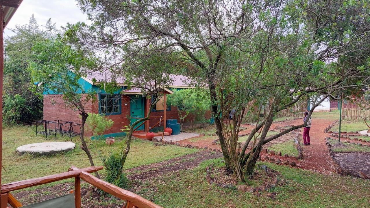 Greenwood Safari Camp تاليك المظهر الخارجي الصورة