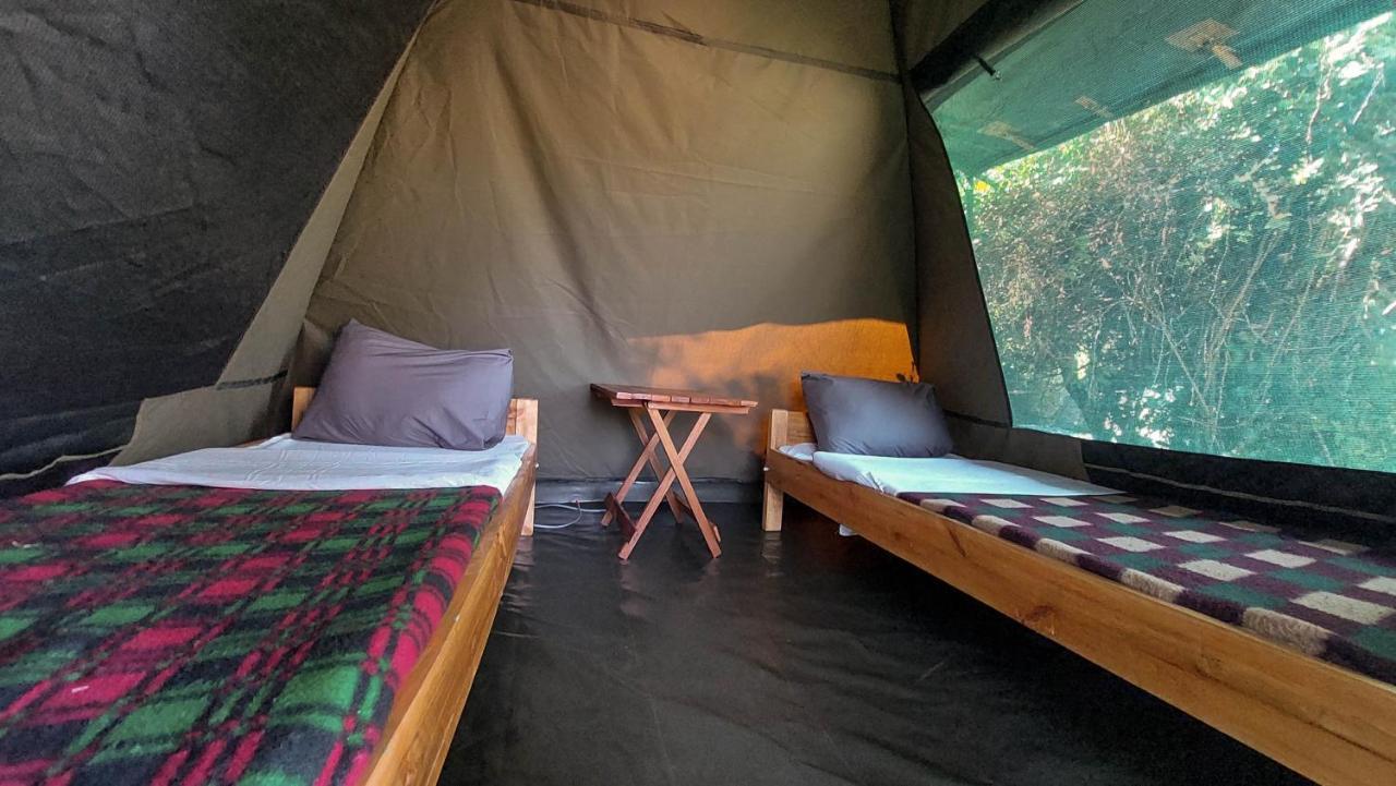 Greenwood Safari Camp تاليك المظهر الخارجي الصورة