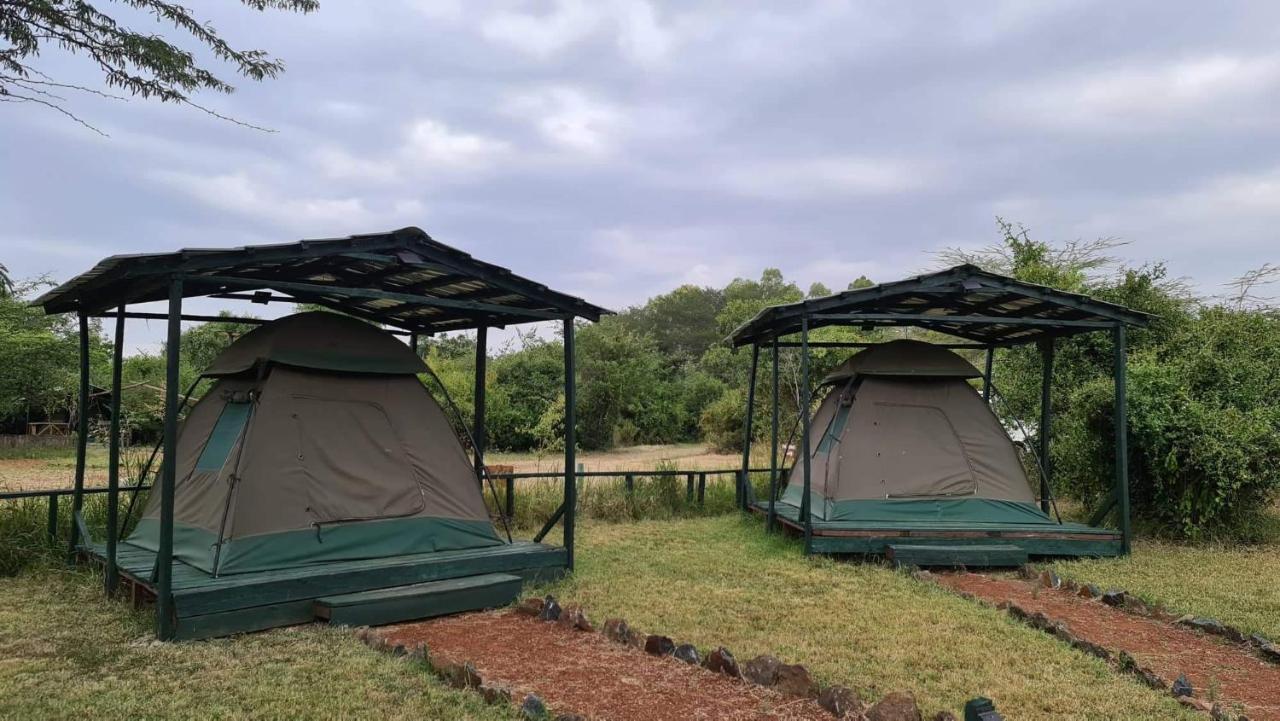 Greenwood Safari Camp تاليك المظهر الخارجي الصورة
