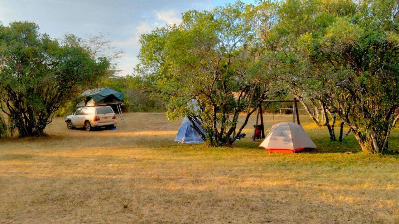 Greenwood Safari Camp تاليك المظهر الخارجي الصورة
