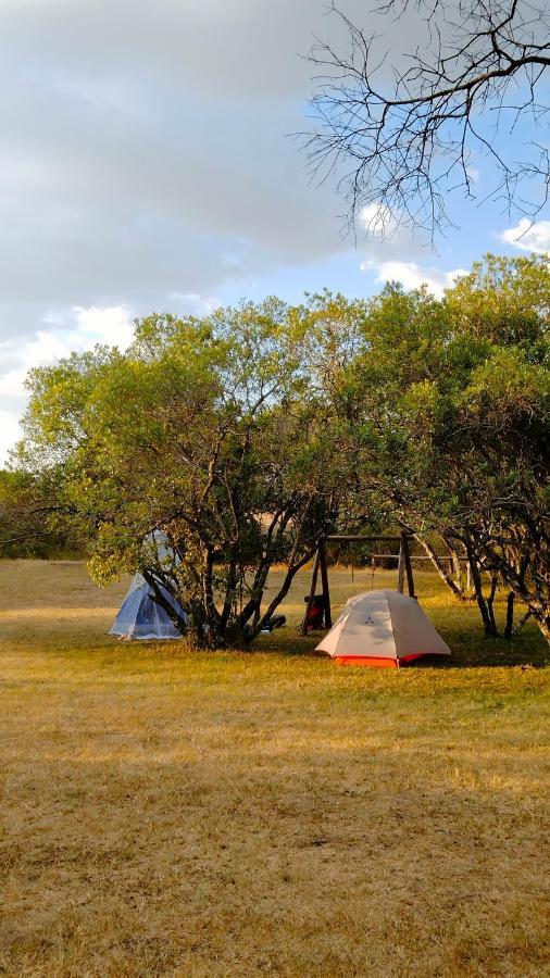 Greenwood Safari Camp تاليك المظهر الخارجي الصورة