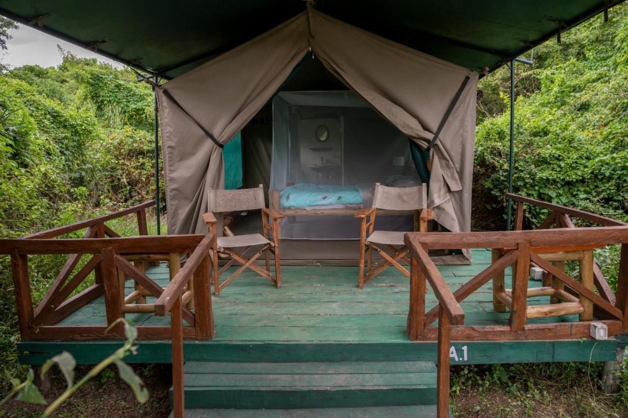 Greenwood Safari Camp تاليك المظهر الخارجي الصورة