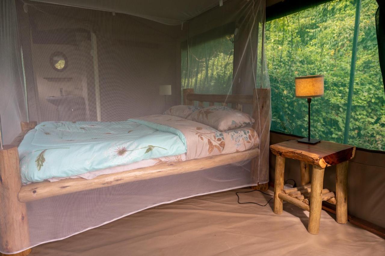 Greenwood Safari Camp تاليك المظهر الخارجي الصورة