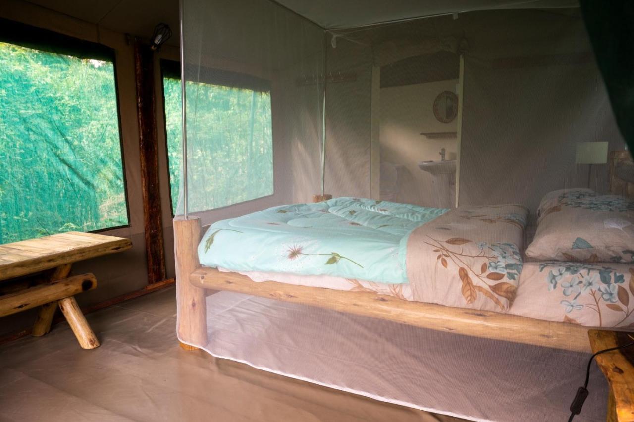 Greenwood Safari Camp تاليك المظهر الخارجي الصورة