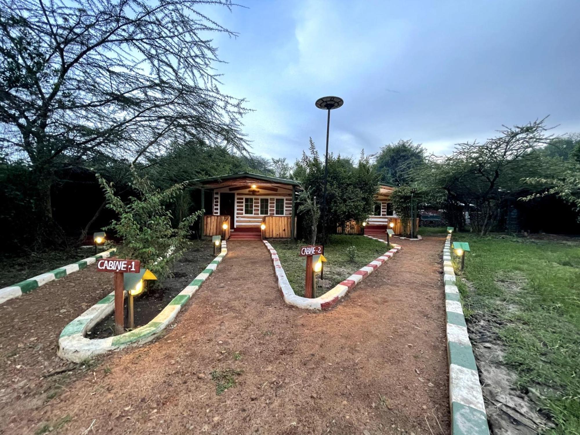 Greenwood Safari Camp تاليك المظهر الخارجي الصورة